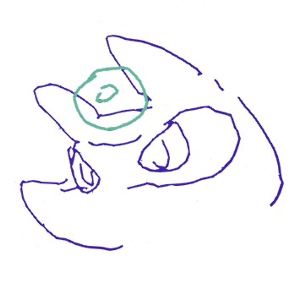 さよー