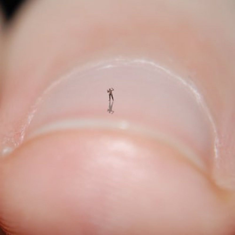 speck