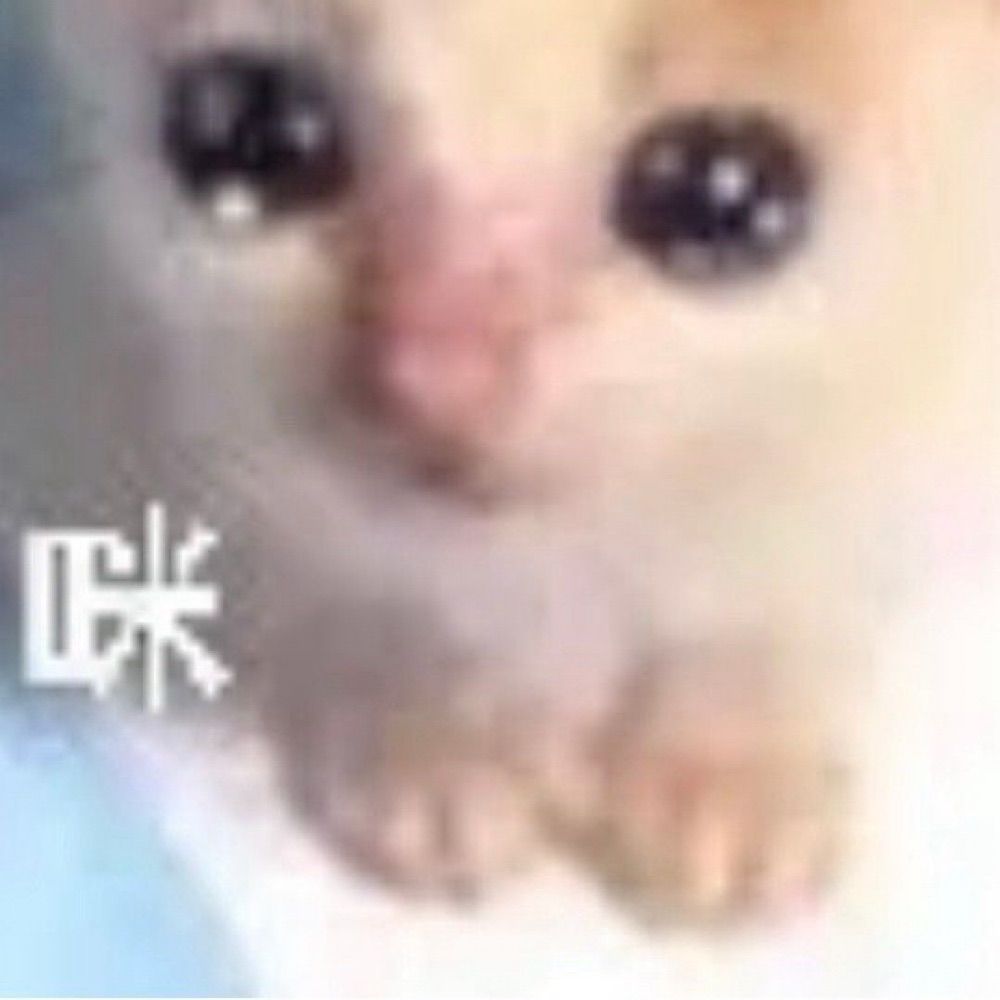 猫猫回收箱