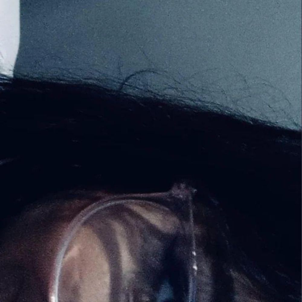 bruna.