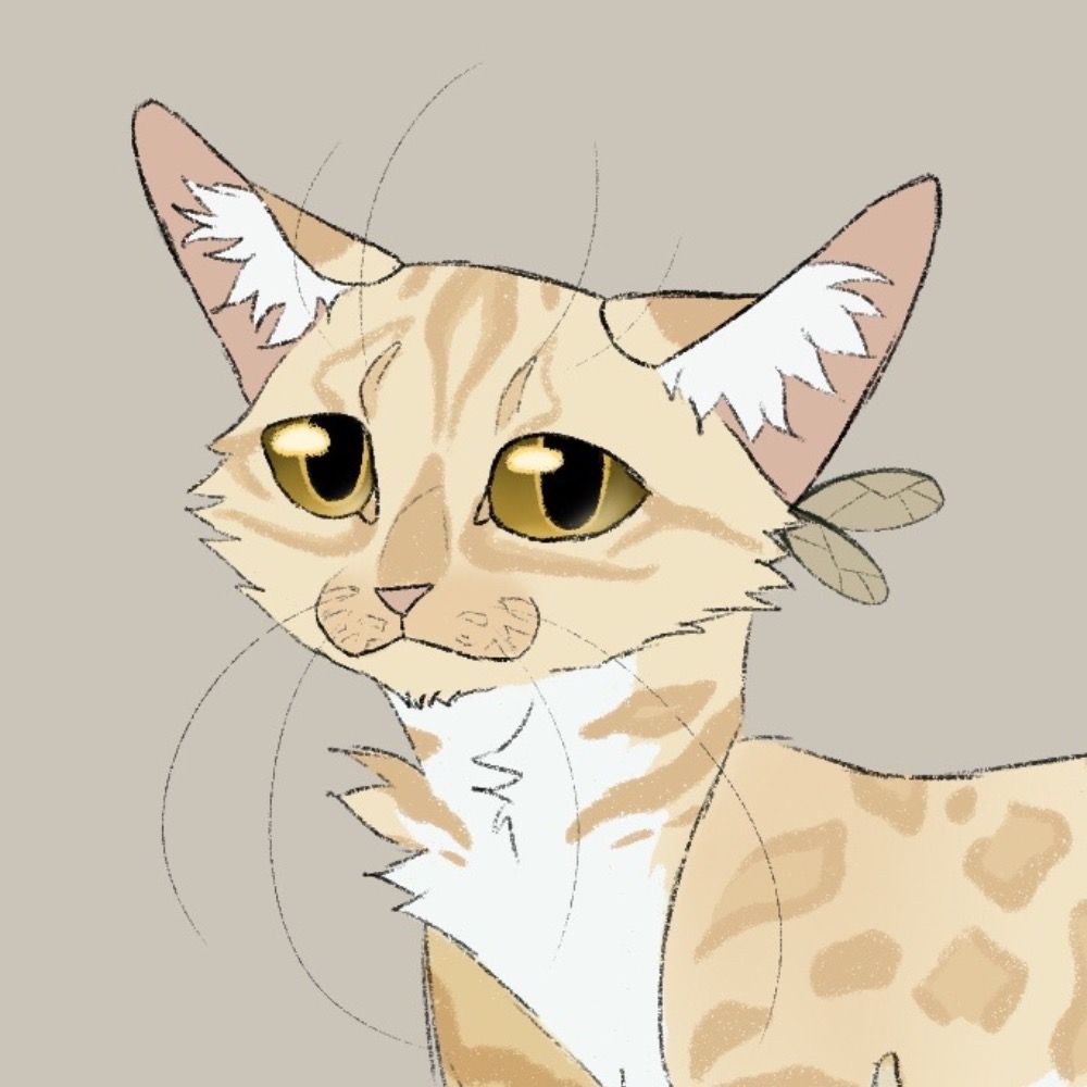 finchy