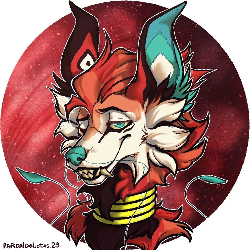 Hcdragoncat