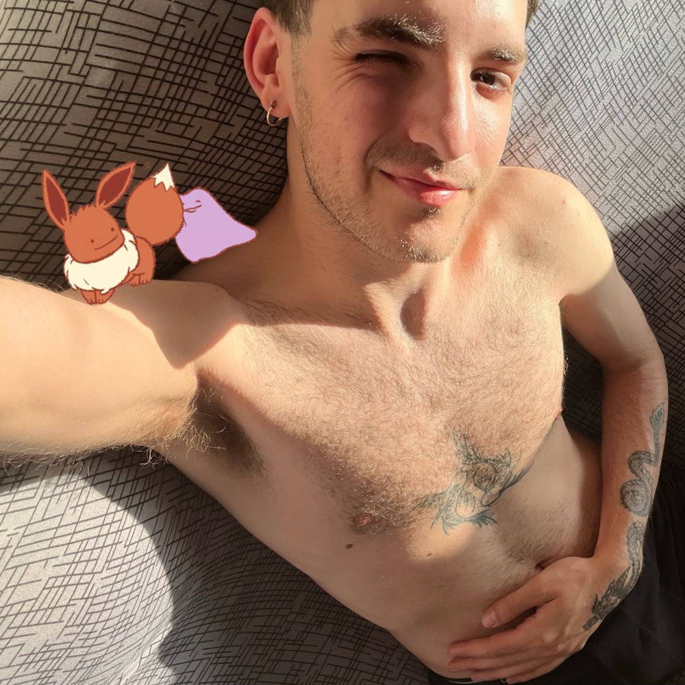 ✨🌸🤎𝘿𝙄𝙏𝙏𝙊🤎🌸✨