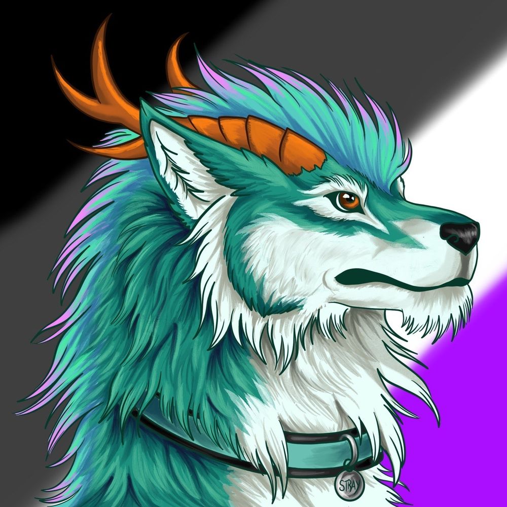 Aura 🐺