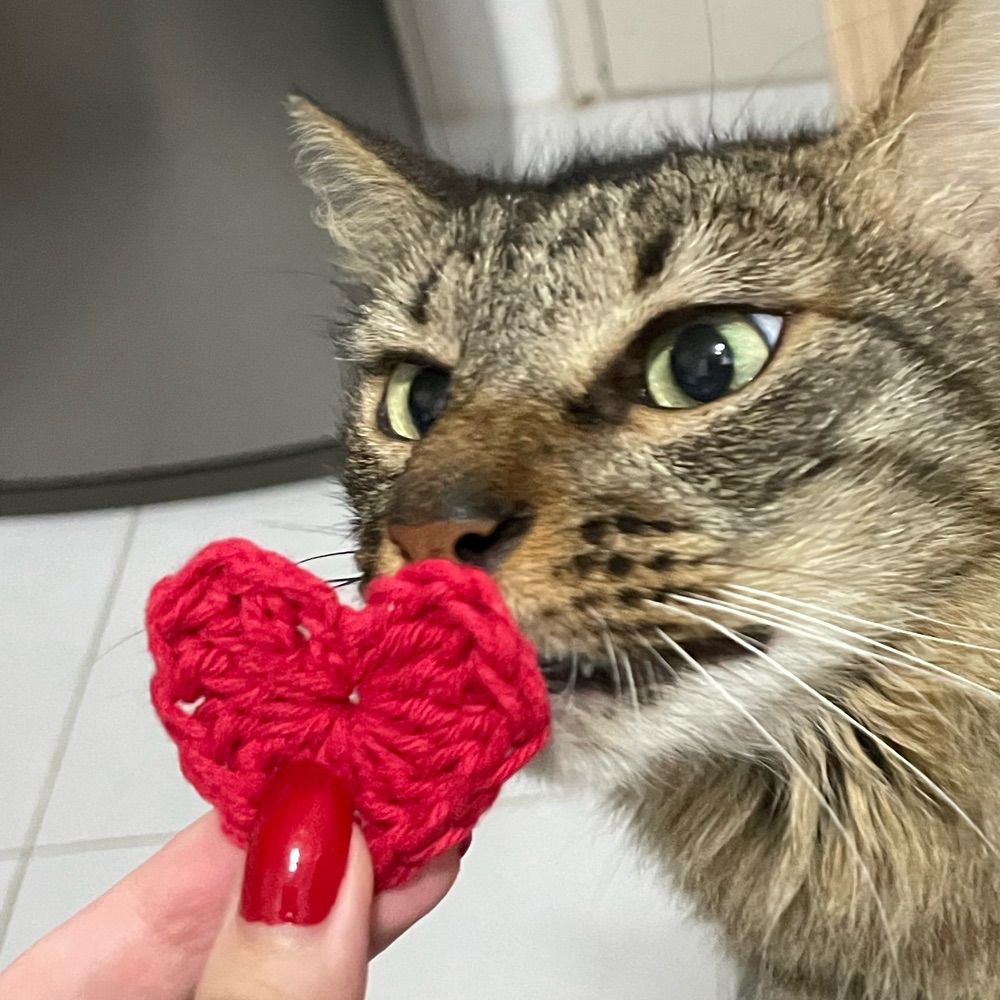 Misi Crochet
