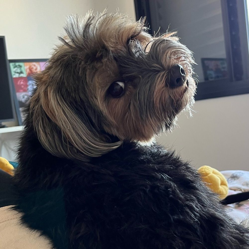 Gigi