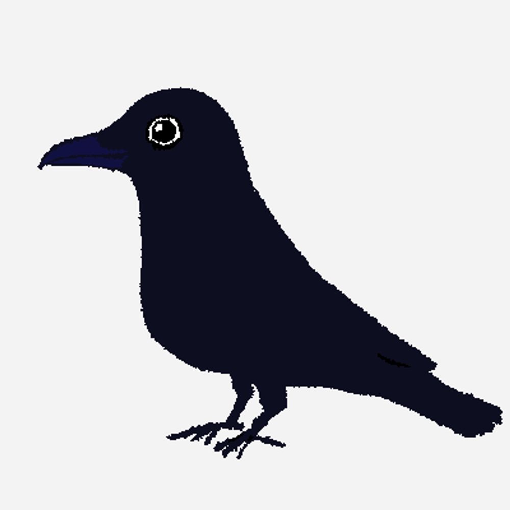 今井いんこ