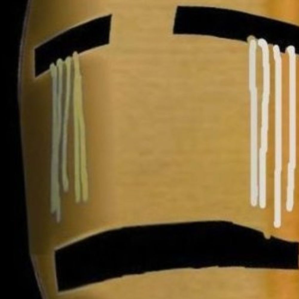 danzaimon
