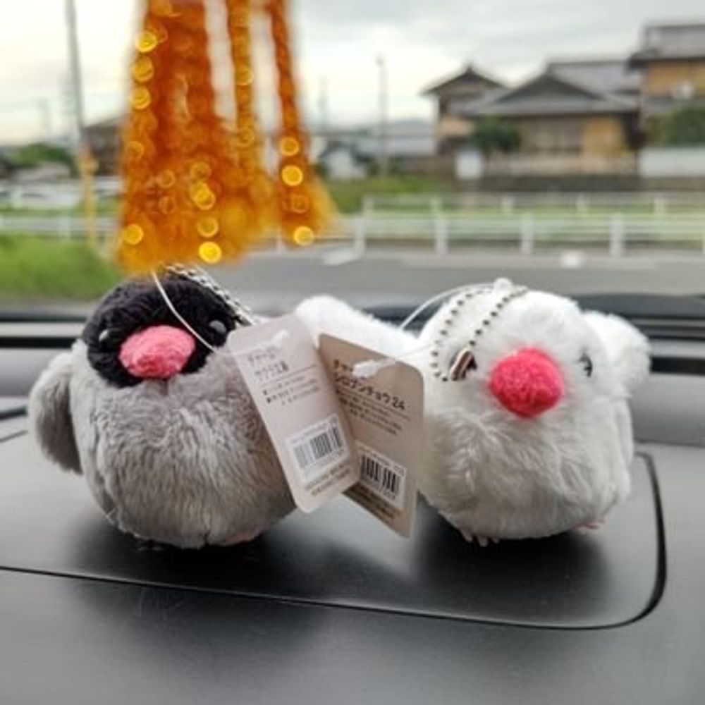 ソシャゲ用垢_TS