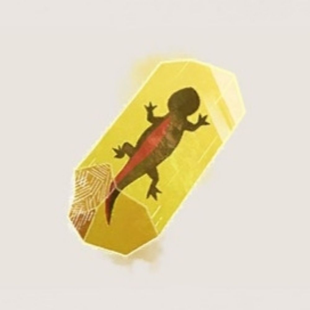 Gecko