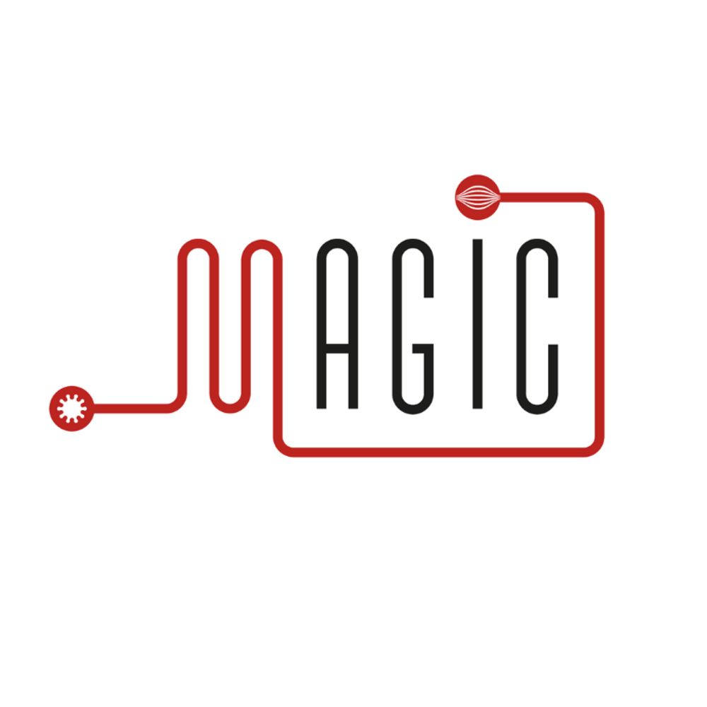 MAGIC