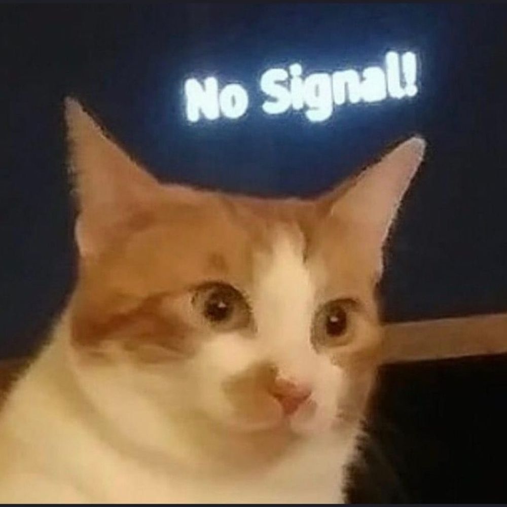 Mongk