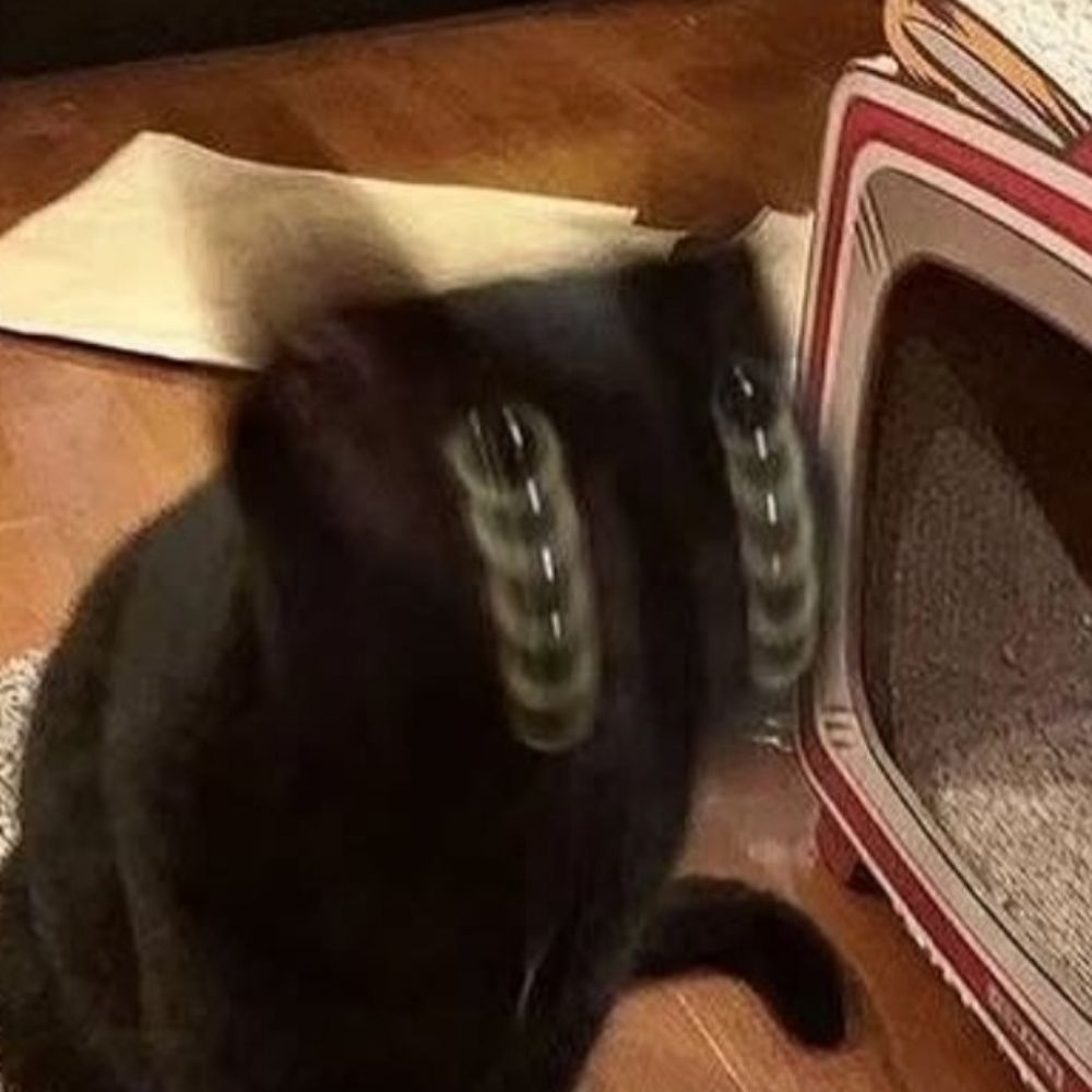 chai