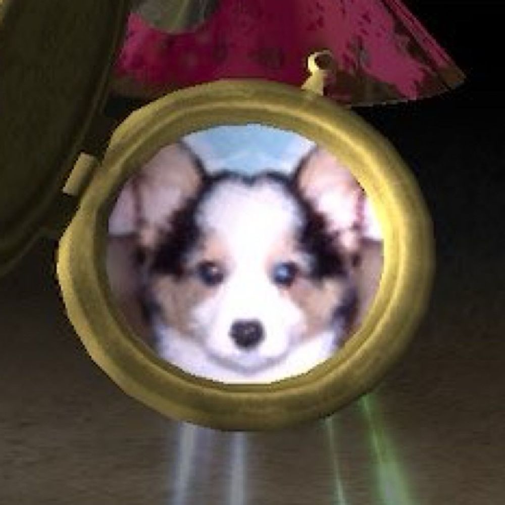 もくすり