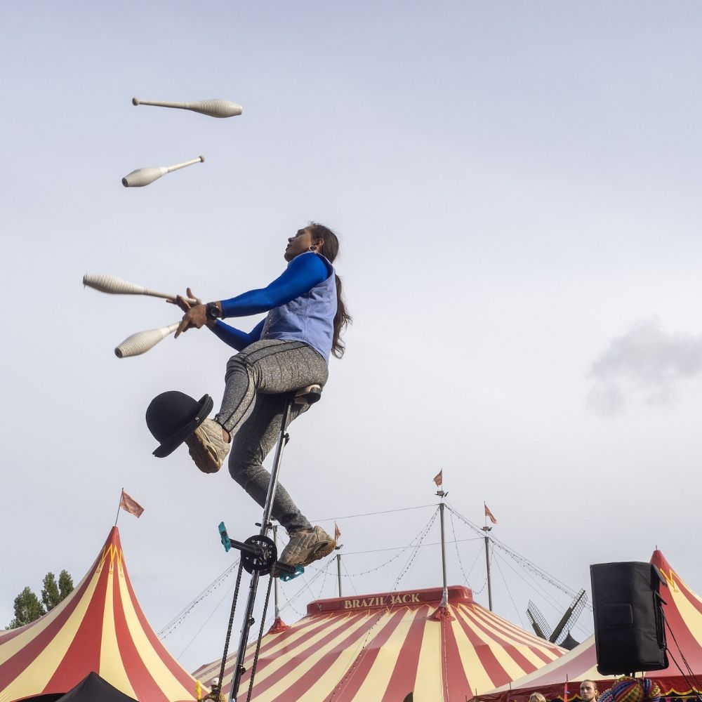 Cirkus Syd