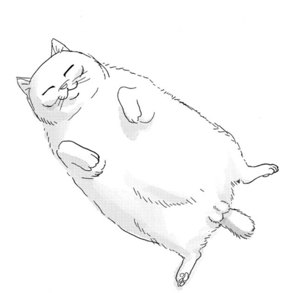 もけ