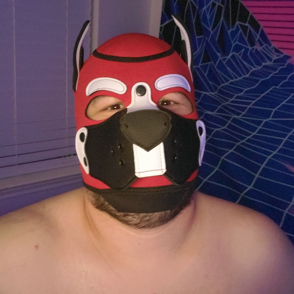 PJ Pup (ZeroCub)