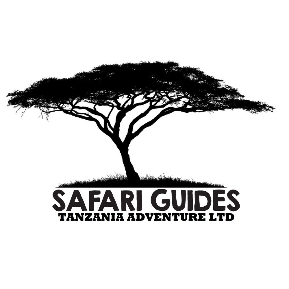 Safari Guides Adventure 