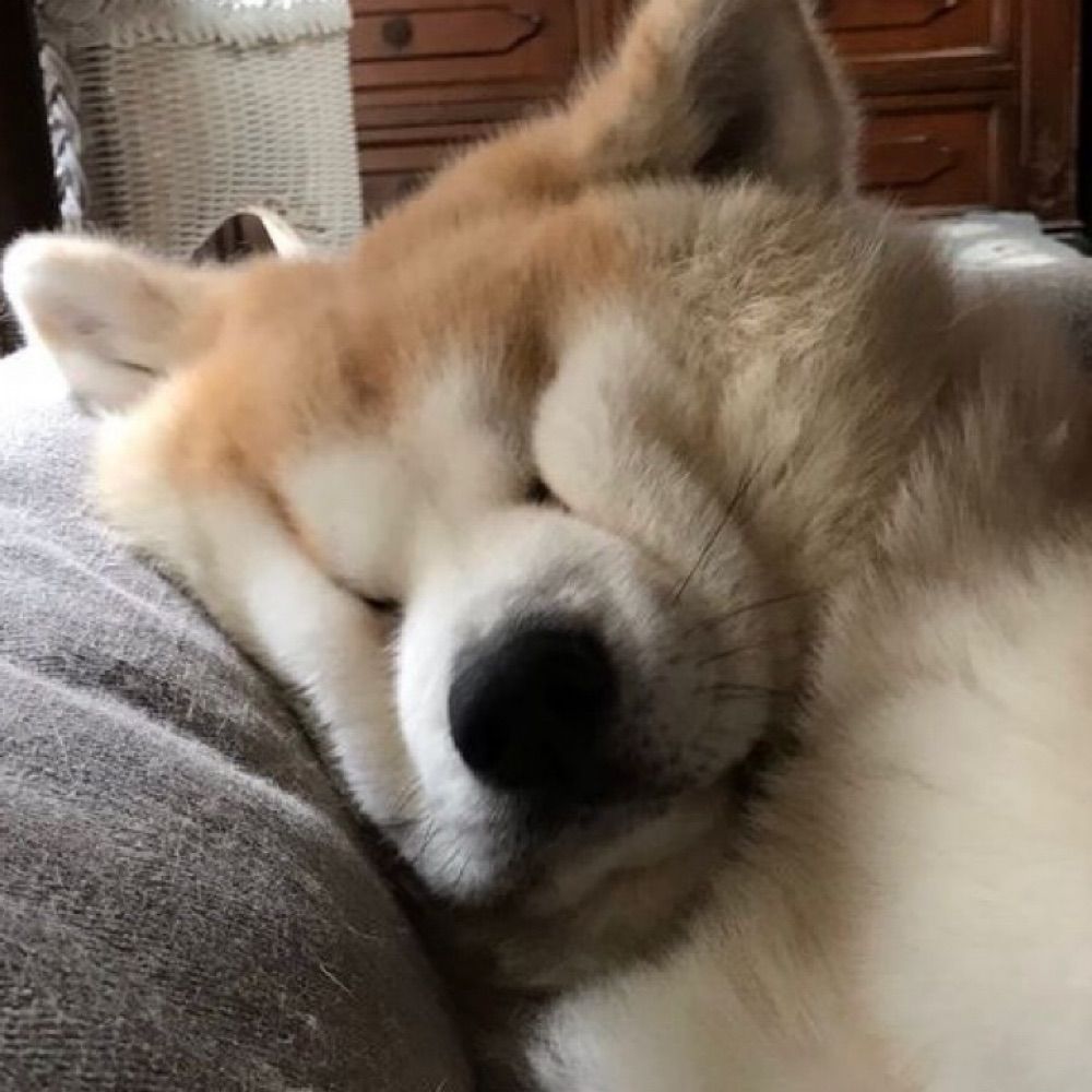김리그