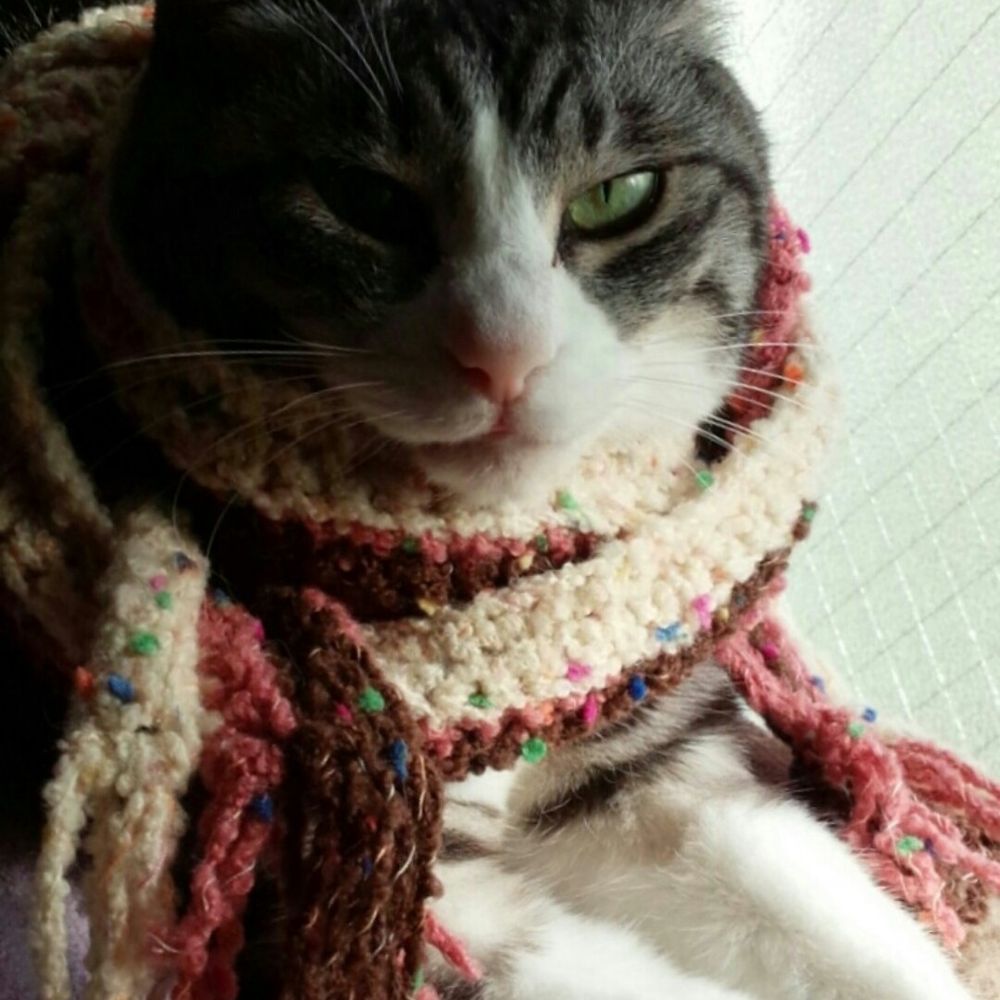 ぴかち