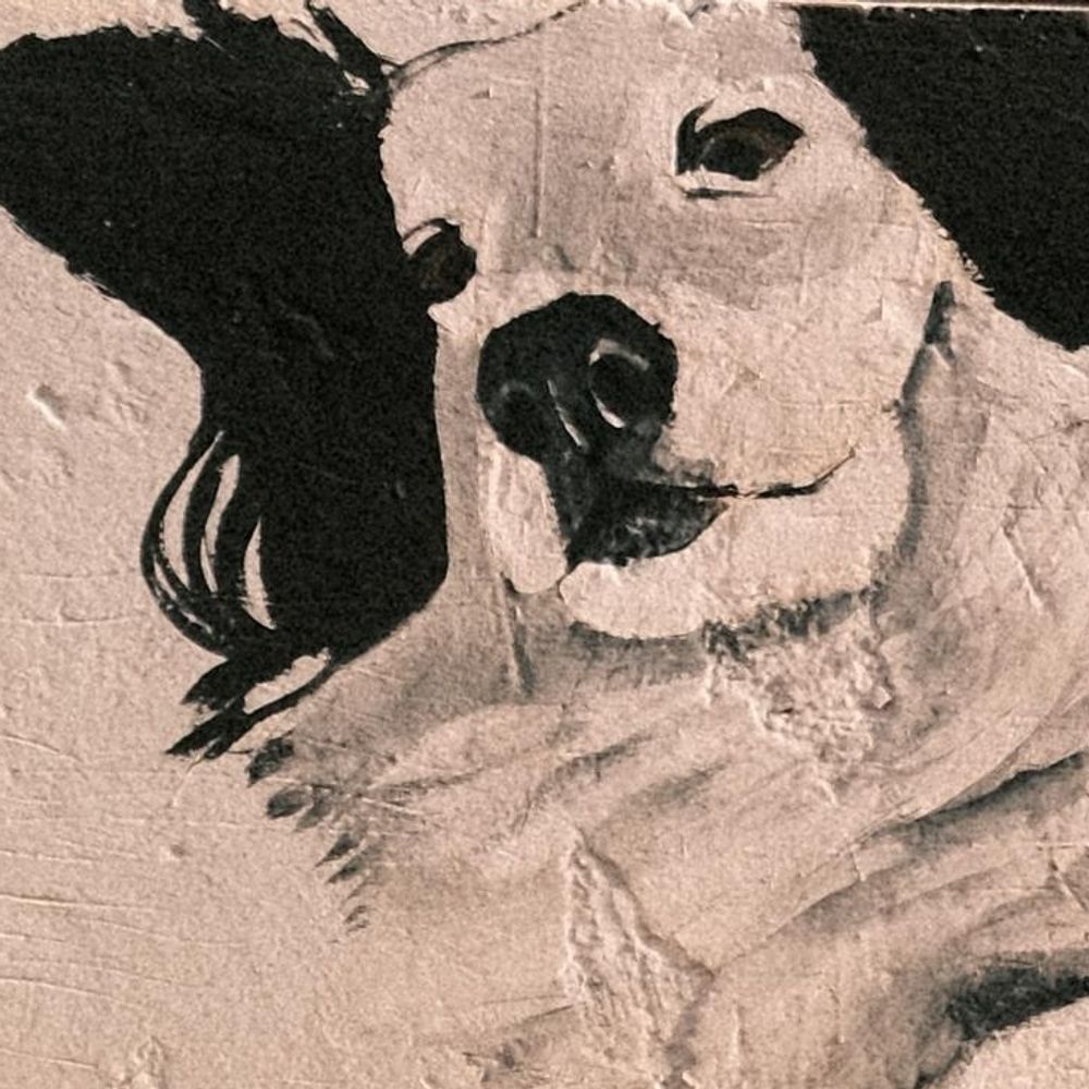 guywithdog.21 on signal