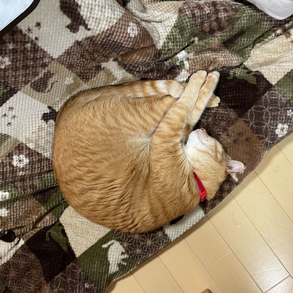 しょうげんじるい