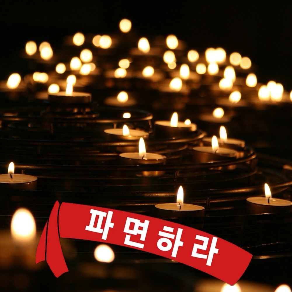🕯️🎗️🌺탄핵의 길을 나아가는 아리아리🌺🎗️🕯️
