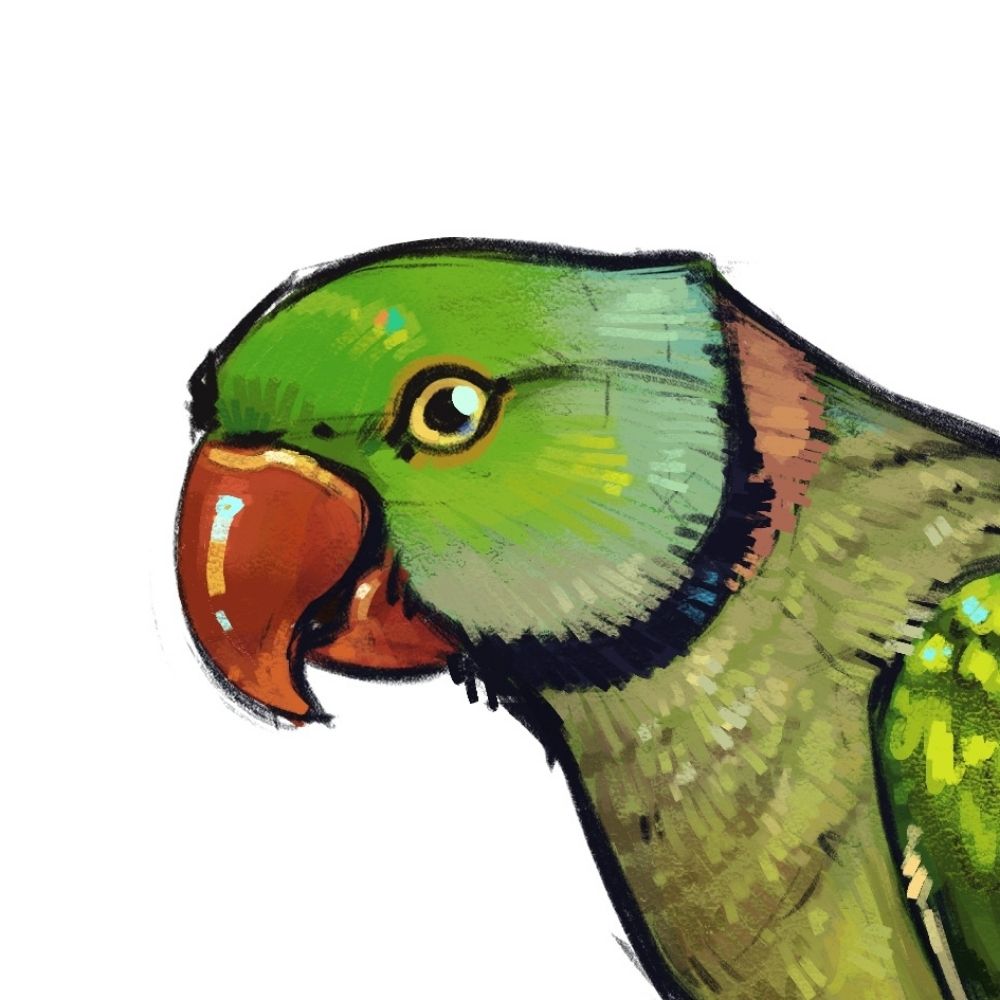 Crowmiti