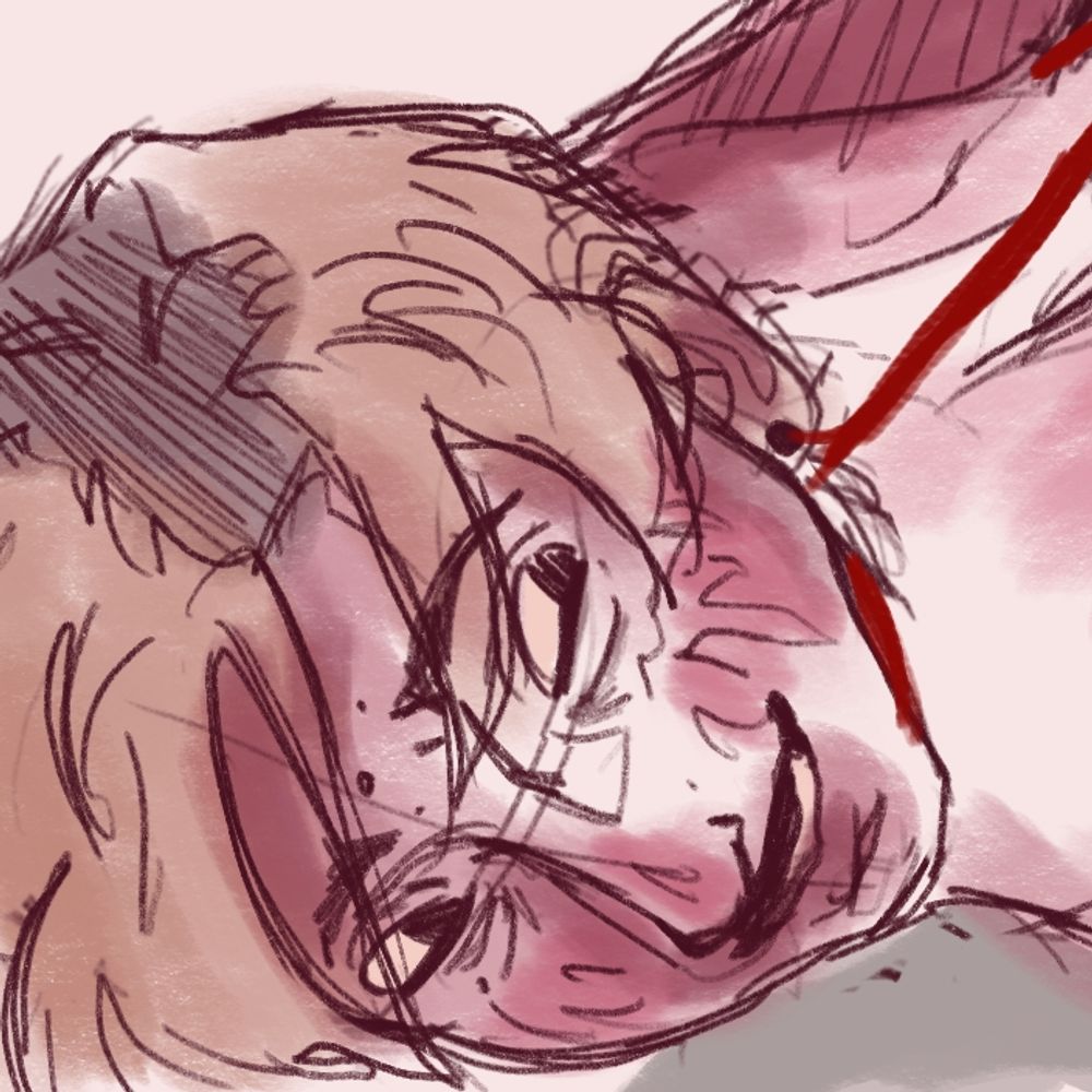 Niko's NSFW acc 🫟