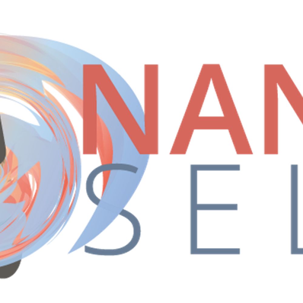 NanoSelf
