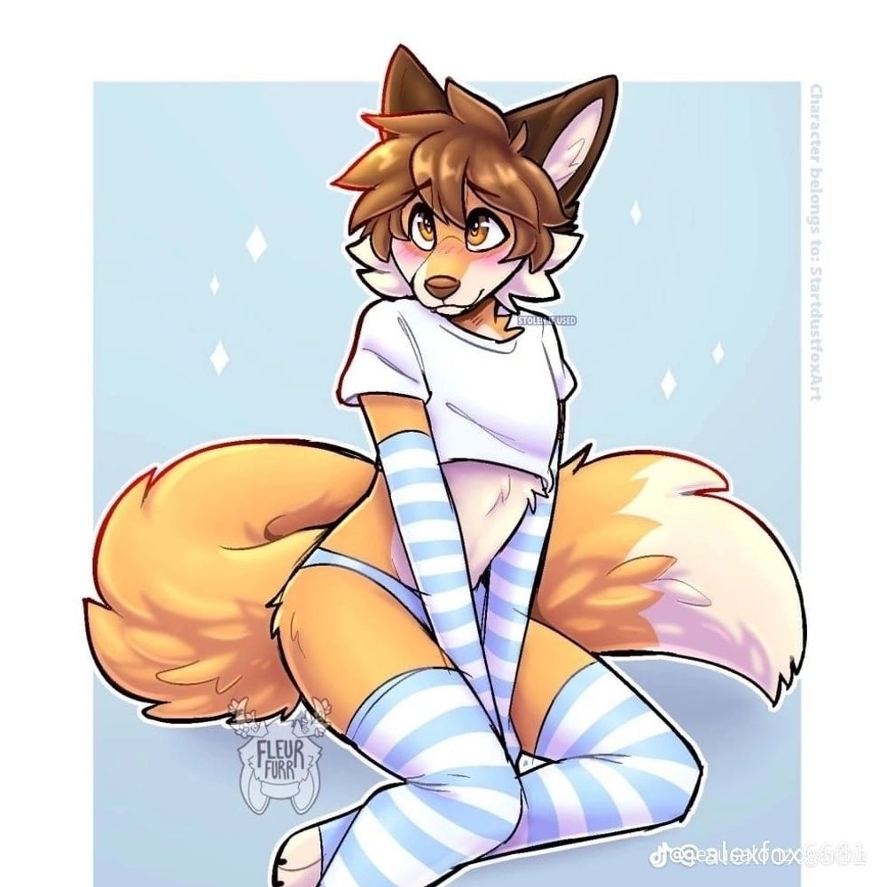 FurritoTheFoxFemboy