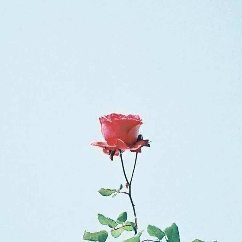 久莉