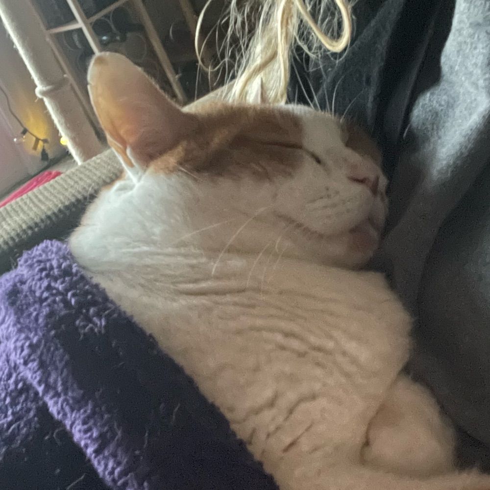 KittyLady64