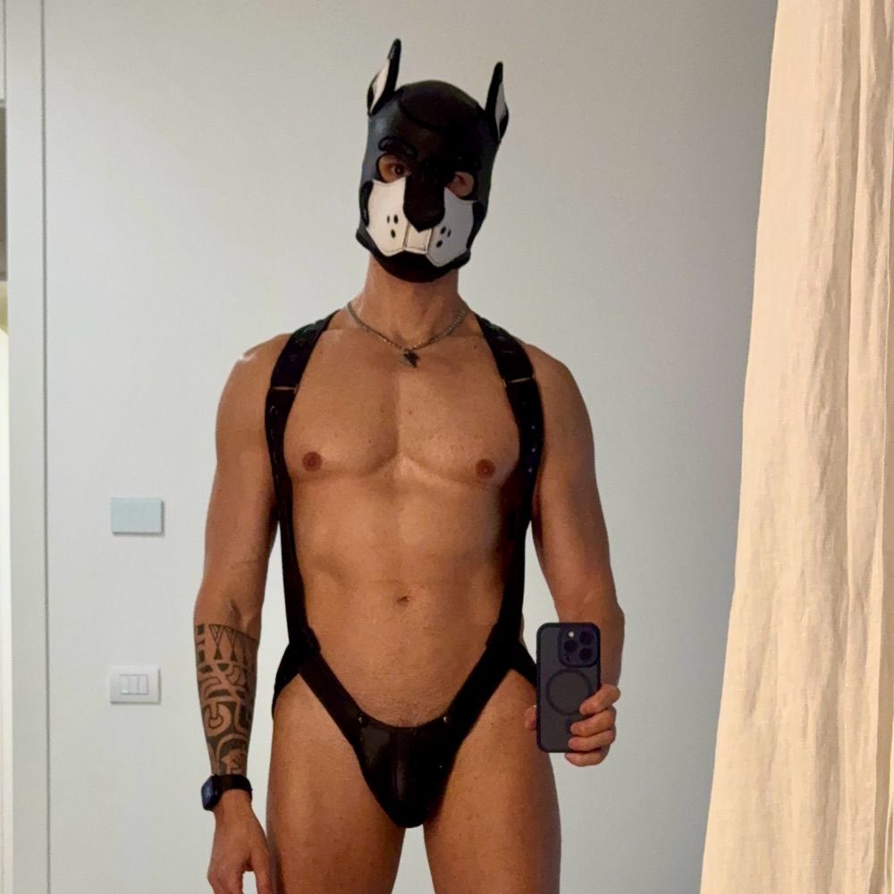 Aries the Pup