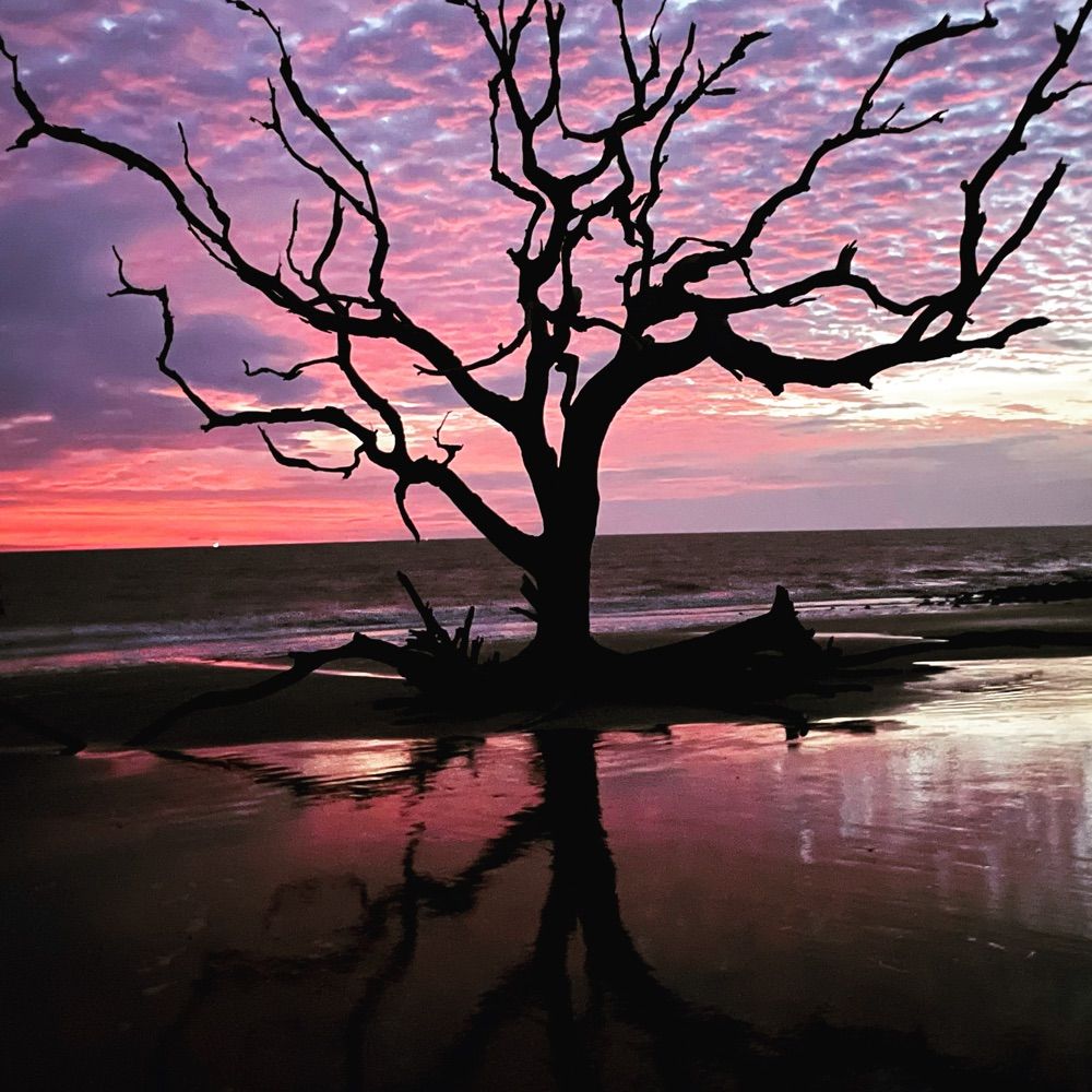 Jekyll Island Nature Girl