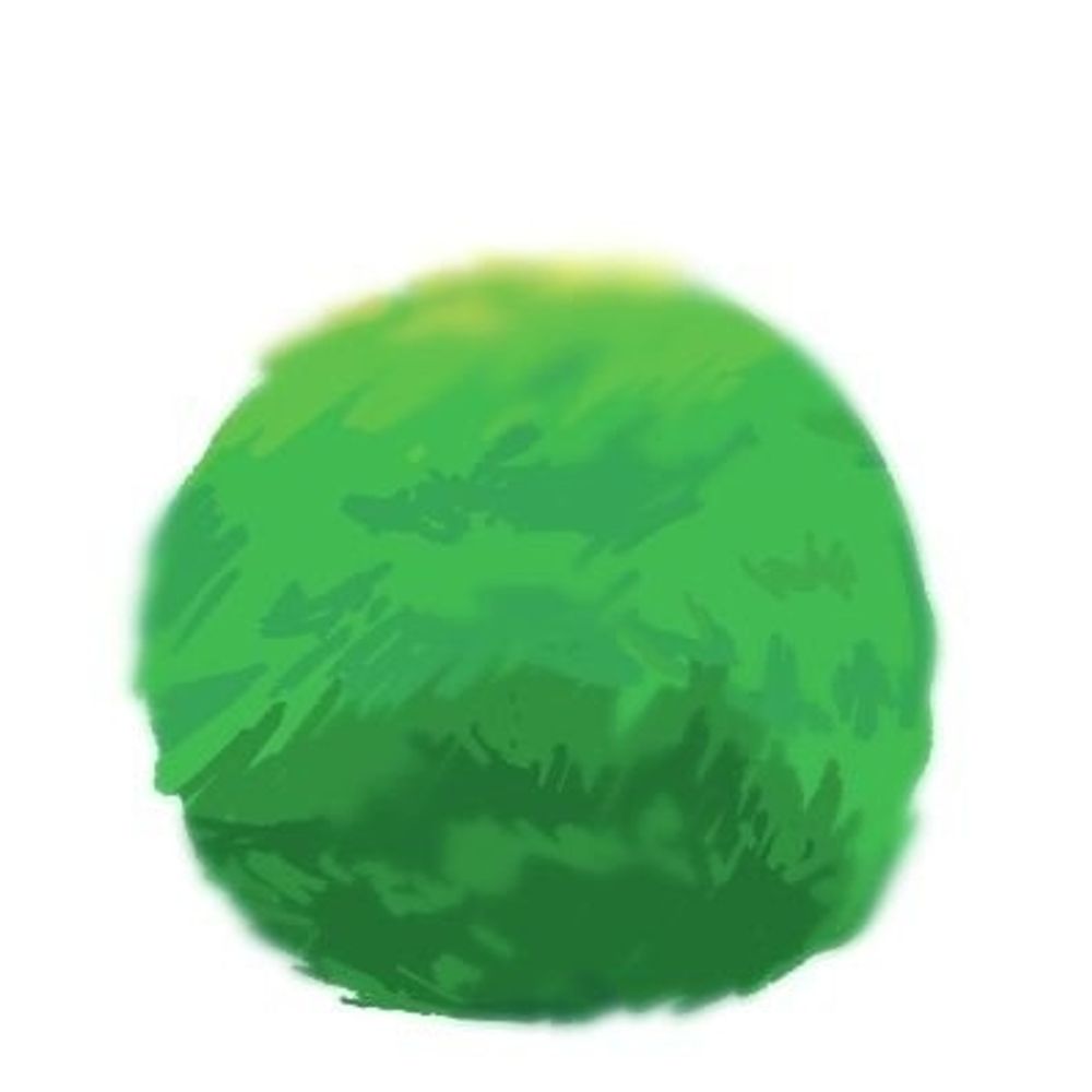 まんまるまりも