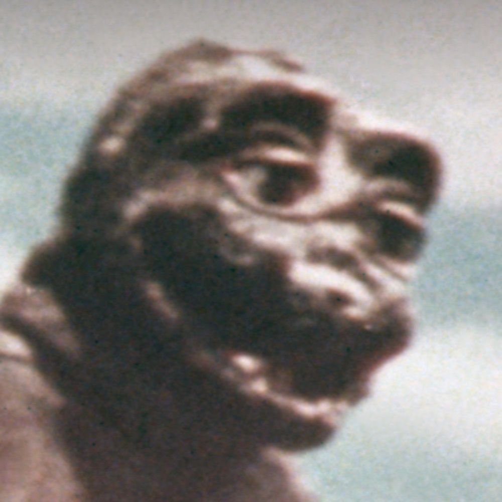 Attae