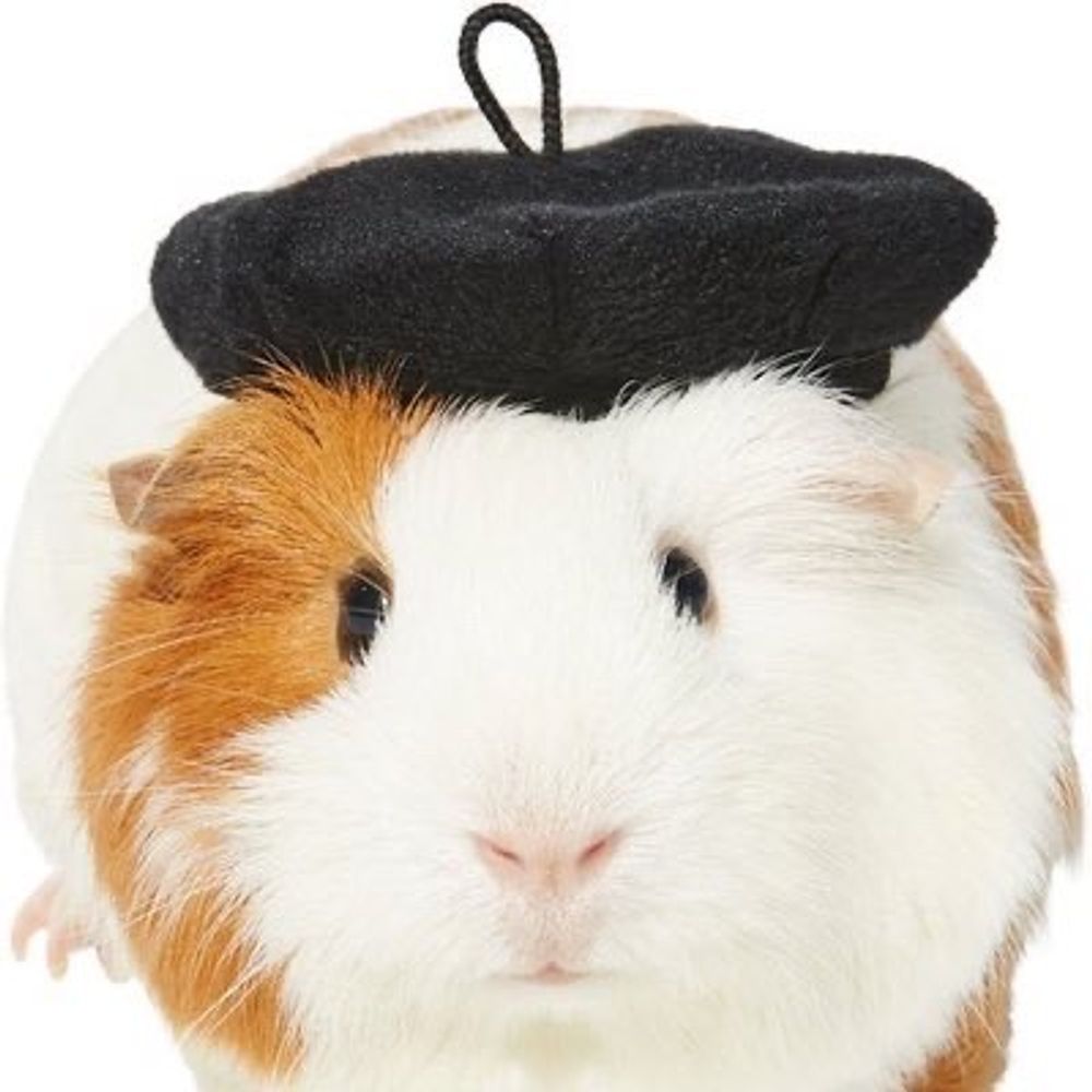 옥니피그