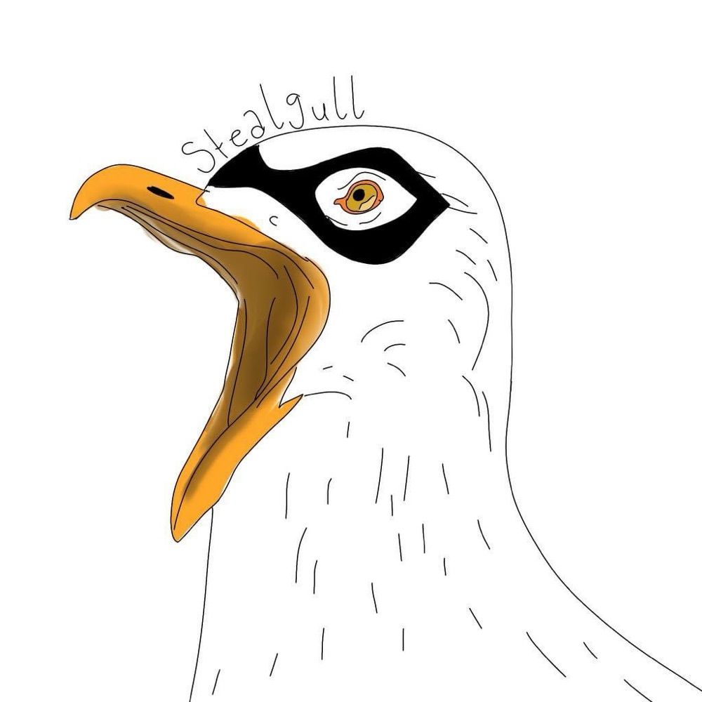 Stealgull
