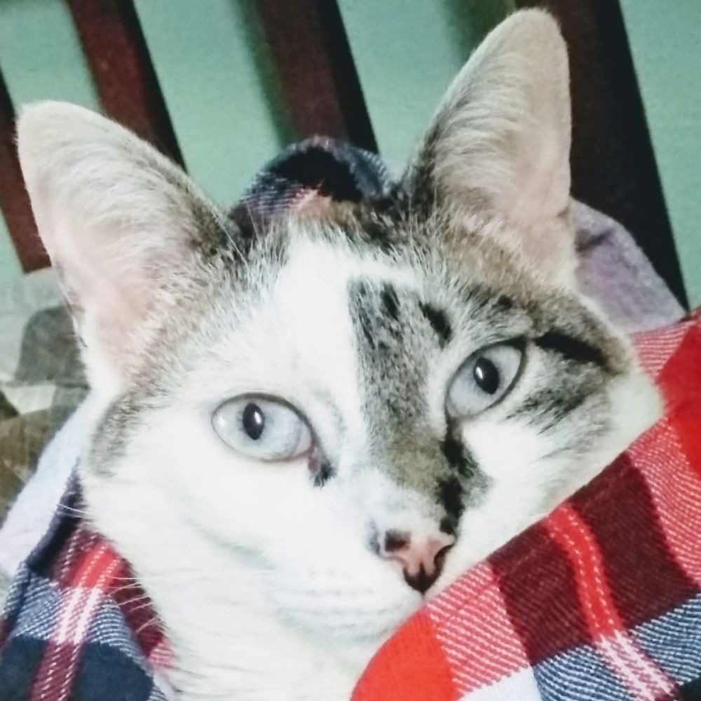 Sandra Horus 