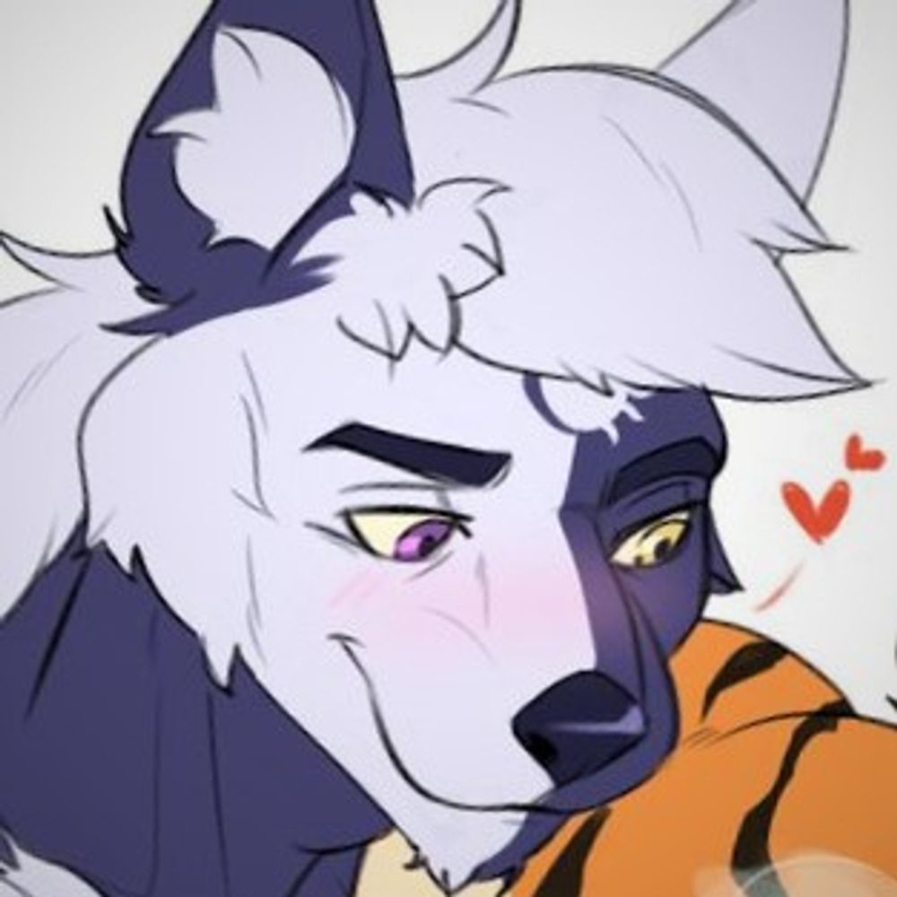 🔞A Stargazing Wolf ✨