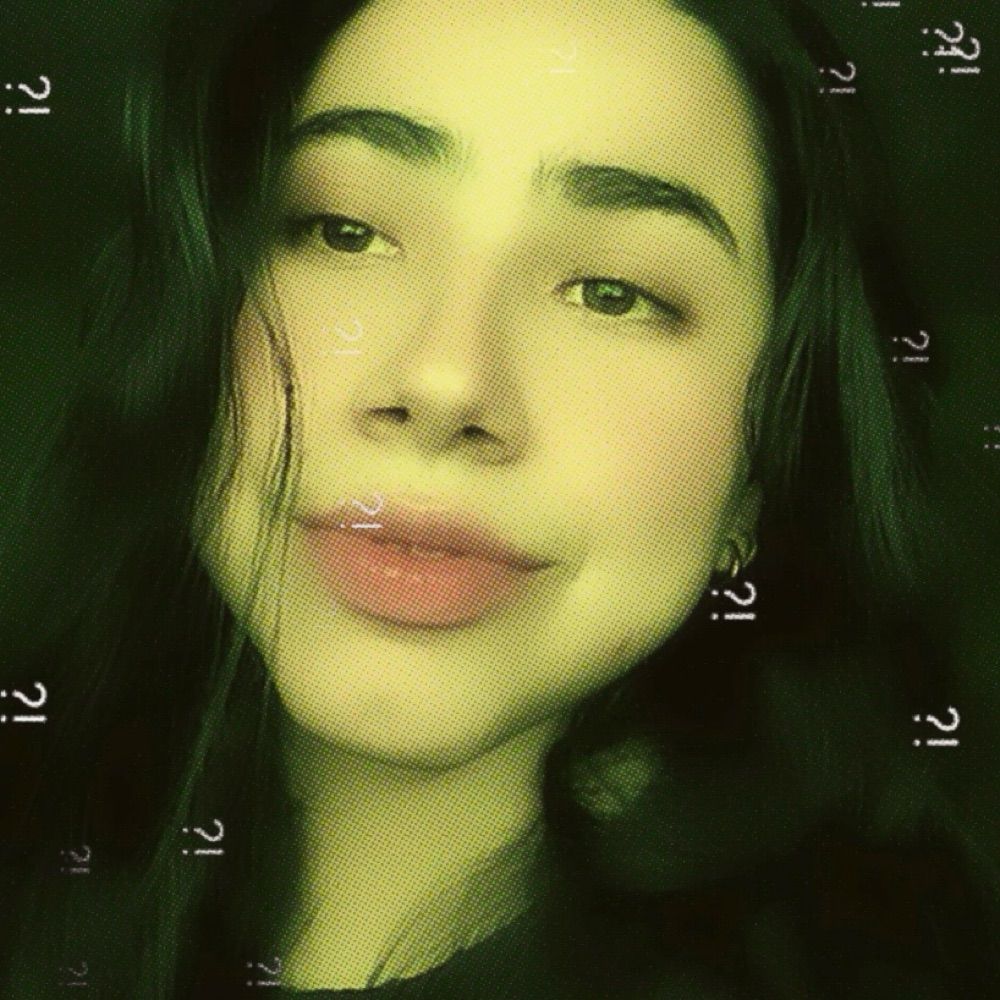 fefe de lioncourt