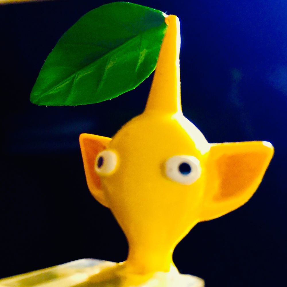 初老ピクミン