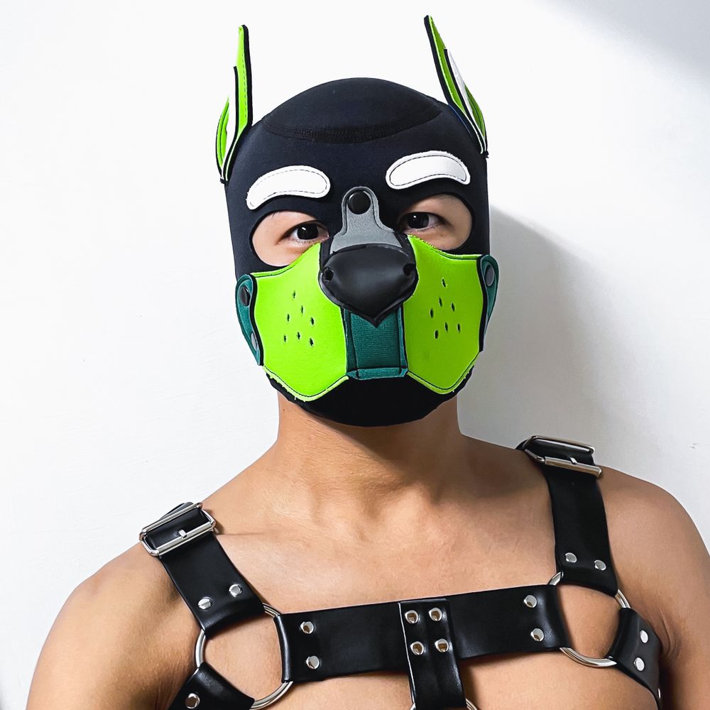 Pup Barr