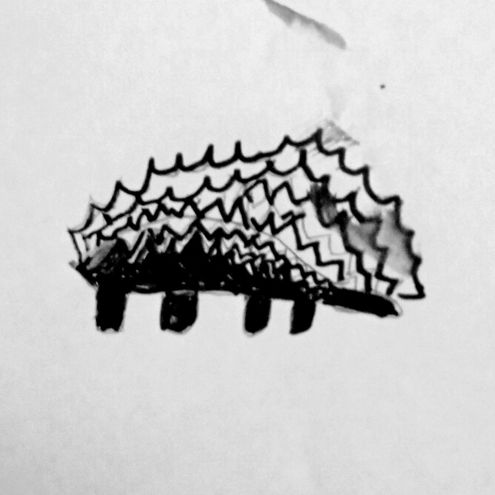 HerissonNoir