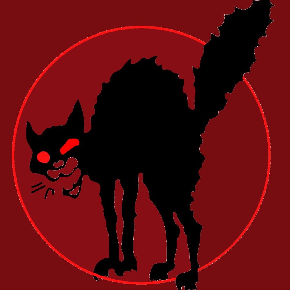 blackcat