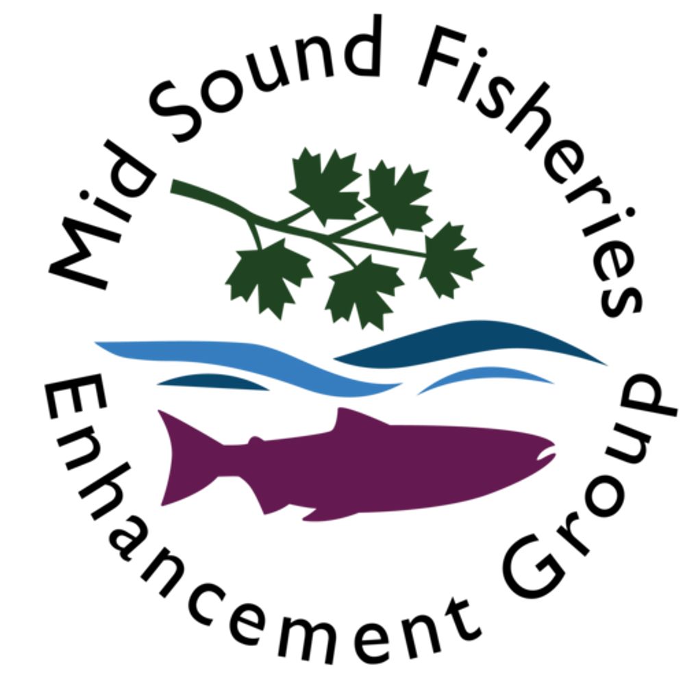 Mid Sound Fisheries Enhancement Group
