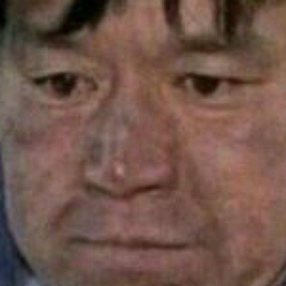 저감당