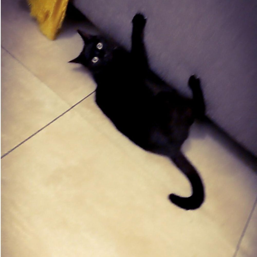 Pascale