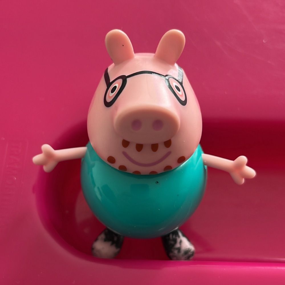 Painho pig